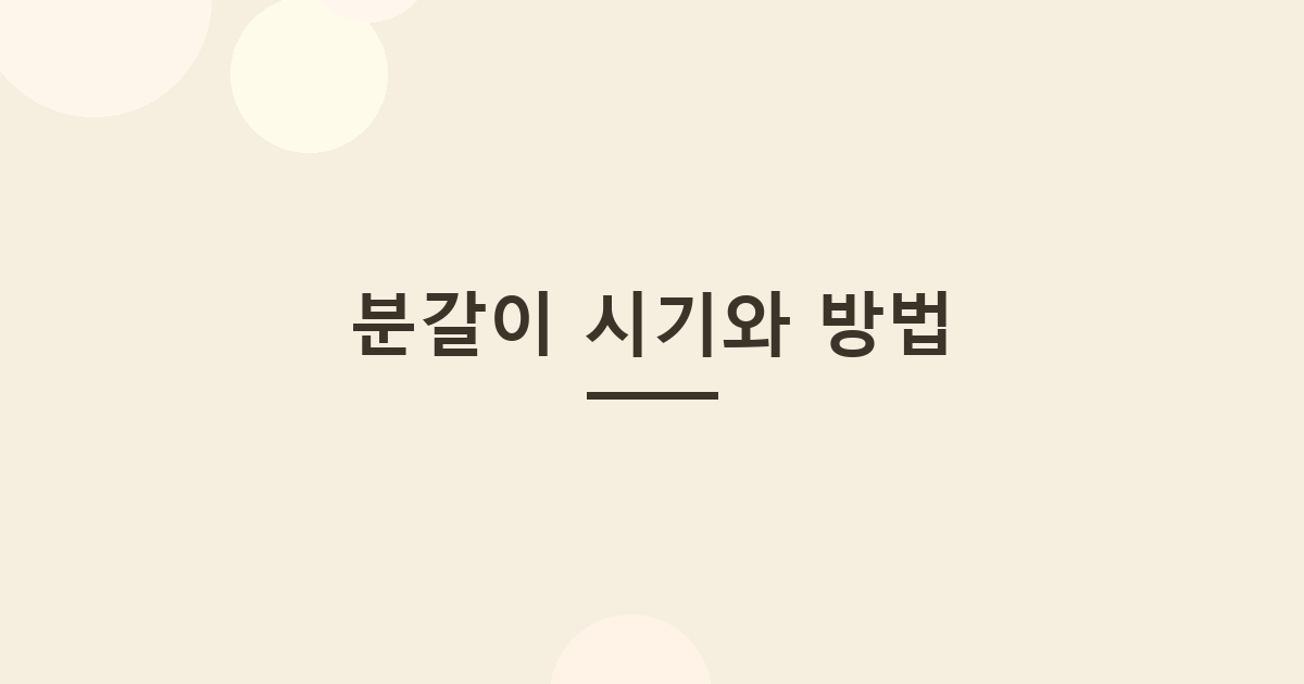 분갈이 시기와 방법